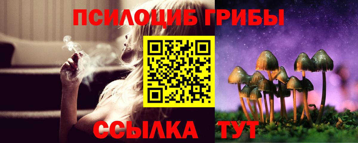 Галлюциногенные грибы Cubensis  Вход с VPN  Реутов  Галлюциногенные грибы ЛСД 